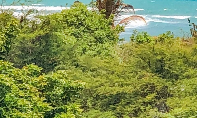Bull Bay House | Authentic Jamaican Experience