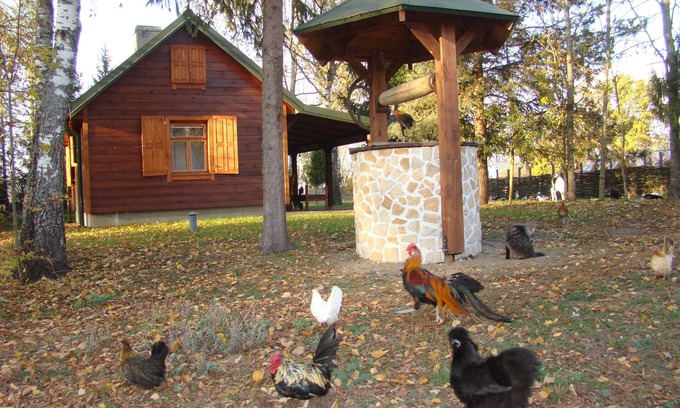 Narewka Ski Chalet | Autonomous Farmhouse in the Bialowieża Forest
