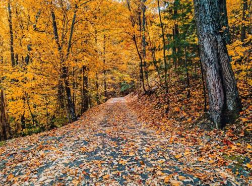 Wears Valley House | Autumn Retreat - 1 mi to GSMNP - Bears, Pool, Hot Tub, King Suite & Loft