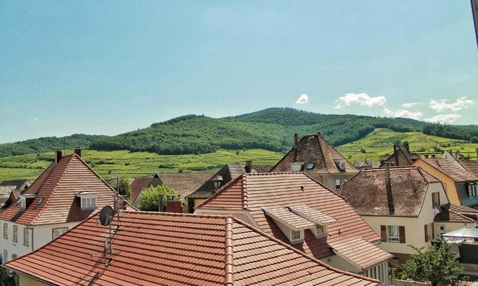 Ammerschwihr Apartment | Aux 6 hirondelles