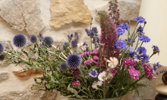 Saint-Laurent-de-Chamousset Bed & Breakfast | Aux Pierres Magiques