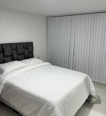 Manizales Apartment | AVENIDA SANTANDER EL TRIANGULO HABITACION 4