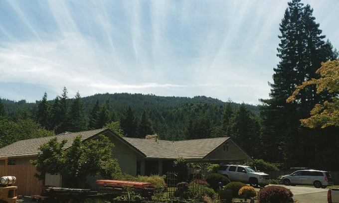 Bridgeville House | Avenue of the Giants Burl bungalow