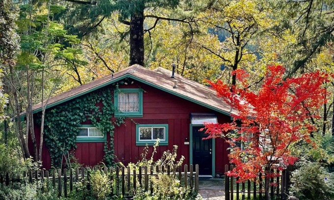 Myers Flat Cottage | Avenue of the Giants Caraway Cottage (#3)