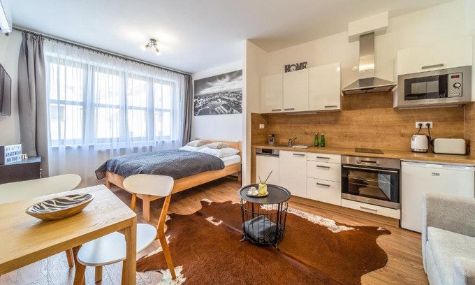 Ceske Budejovice Apartment | Aviatik apartments