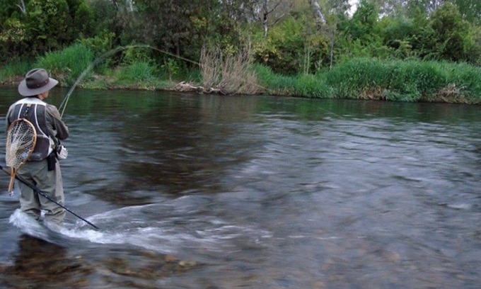 Bombowlee Cottage | Azalea Cottage - Tumut River