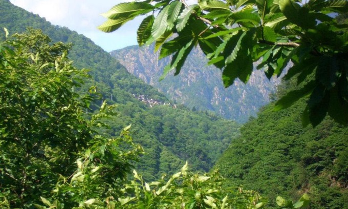 Cicogna Bed & Breakfast | B&B CA' DEL PITUR CICOGNA