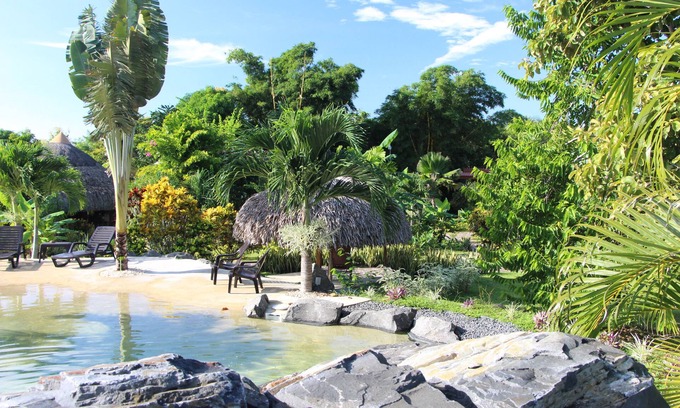 Copecito Bed & Breakfast | B&B CABANAS LOS COLIBRIS: Tropical garden, sea and mountains nearby!