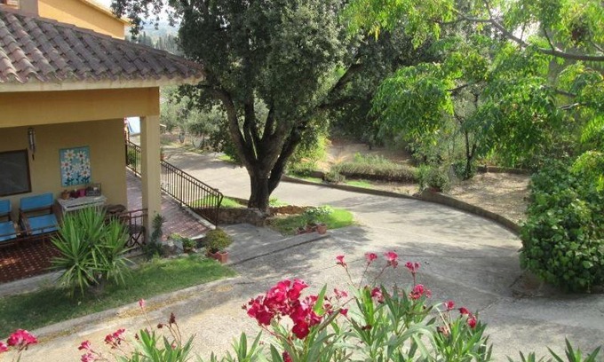 Poggio dei Pini Bed & Breakfast | B&B Coldulivo