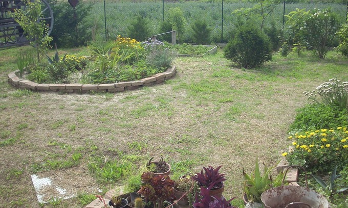 Taglio di Po Bed & Breakfast | B&B da Toni