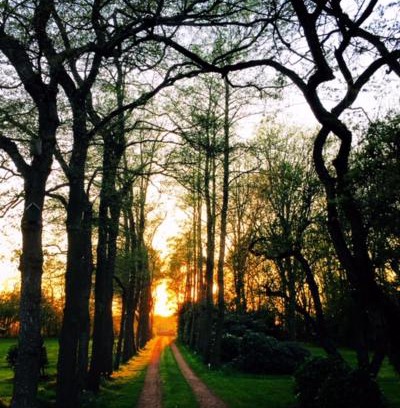 Ureterp Bed & Breakfast | B&B De Mersken