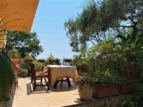 Praia a Mare Bed & Breakfast | B&B dei Fiori