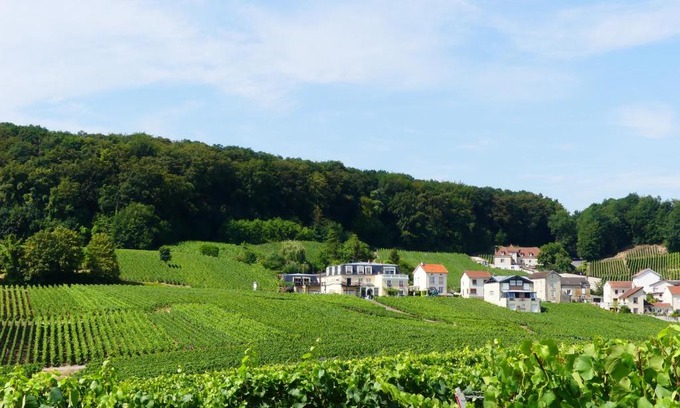Cramant House | B&B en Champagne