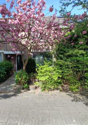 Zaandam Bed & Breakfast | B&B Het Heusje
