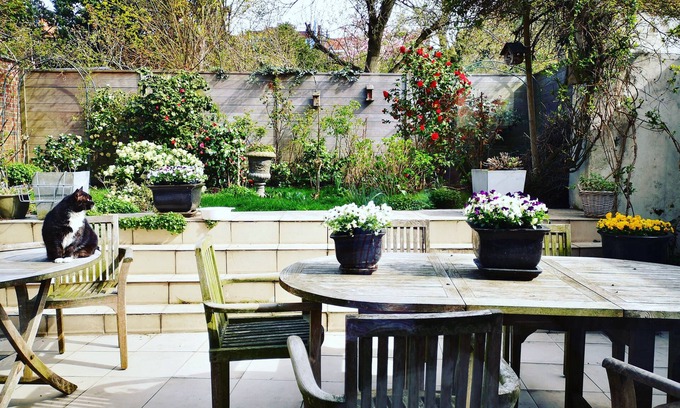 Leuven Bed & Breakfast | B&B Het Leuvens Hof