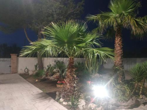 Punta Prosciutto Bed & Breakfast | B&B HOUSE BEN