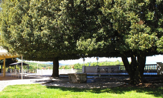Subiaco Bed & Breakfast | B&B Il Leccio Subiaco exclusive residence a stone's throw from Rome
