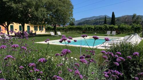 Domegliara Bed & Breakfast | B&B CAMPAGNON VALPOLICELLA