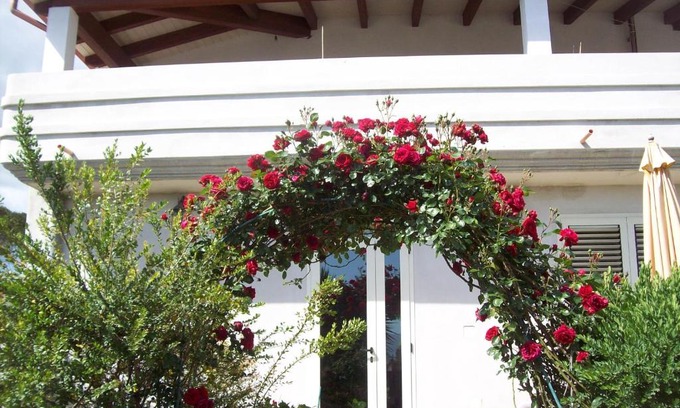 Domusnovas Bed & Breakfast | B&B Kazakova