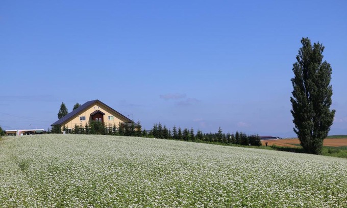 Biei House | B&B Ken&Mary