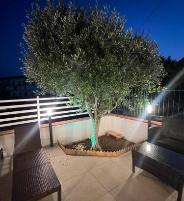 Scalea Bed & Breakfast | B&B L Ulivo