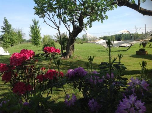 Borgolavezzaro Bed & Breakfast | B&B La Castellana