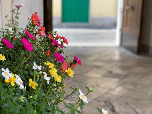 Santa Maria Capua Vetere Apartment | B&B La Corte