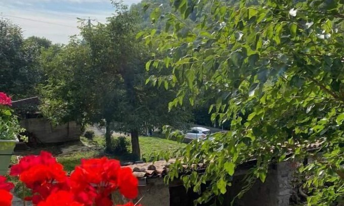 Canzo Bed & Breakfast | B&B La Corte del Segrino