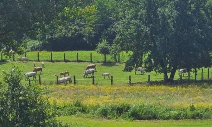 Tigliole Bed & Breakfast | B&B La Rugiada. A 20th century residence immersed in the greenery of Monferrato.