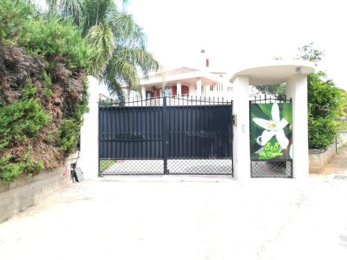 Caltanissetta Bed & Breakfast | b&b le zagare