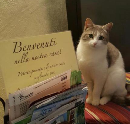 Tempio Pausania Bed & Breakfast | B&B Meladormo