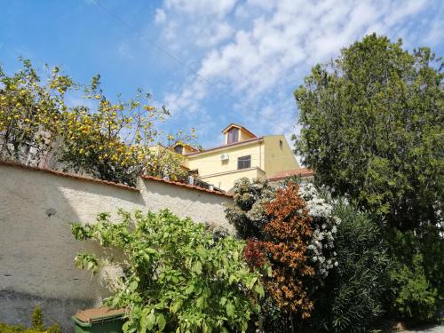 Salerno Bed & Breakfast | B&B Moscani