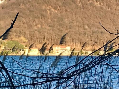 Gozzano Bed & Breakfast | B&B Notte sul Lago