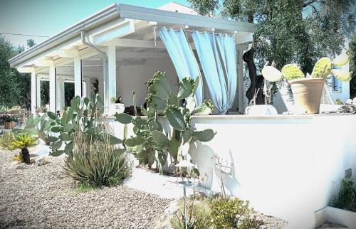 Mattinata Bed & Breakfast | B&B Sperlonga