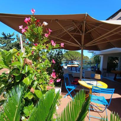 Montiano Bed & Breakfast | B&B Terramare
