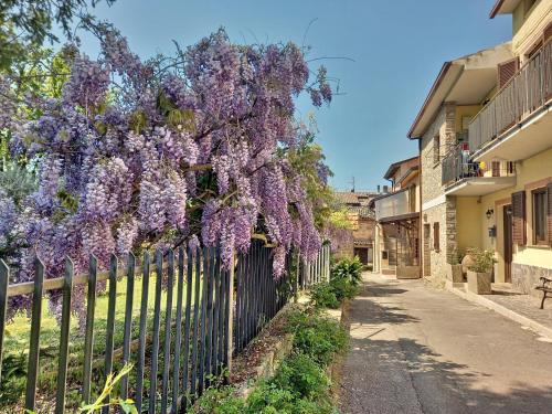 Rivotorto House | B&B TorreMatta