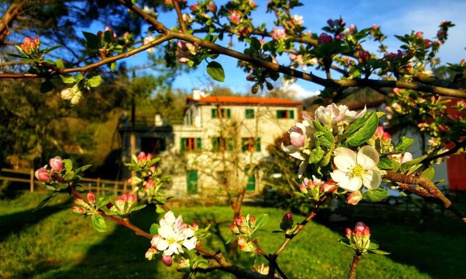 Castiglione Chiavarese Bed & Breakfast | B&B Tre Ponti