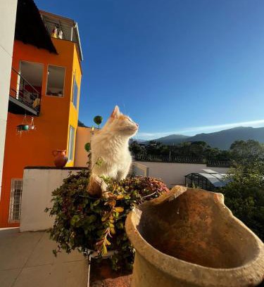 Choachi Bed & Breakfast | B&B - Trekking y Senderismo