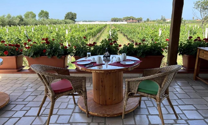 Capaccio Scalo Bed & Breakfast | B & B Vigna Di Filippo - Paestum