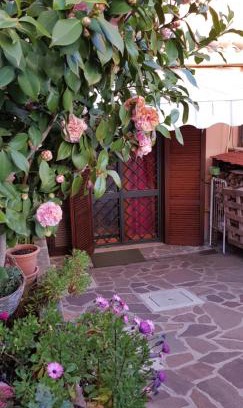 Marco Simone Bed & Breakfast | B&B Vista su Roma