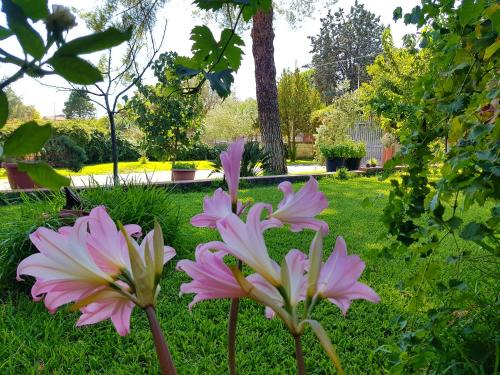 Pedara Bed & Breakfast | B&B Welcome