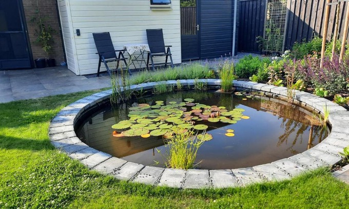 Burgh-Haamstede Bed & Breakfast | B&B ZEEUWS KNOOPJE