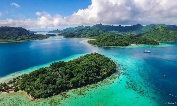 Huahine Bed & Breakfast | B & Bee Wild Island - Nature Song