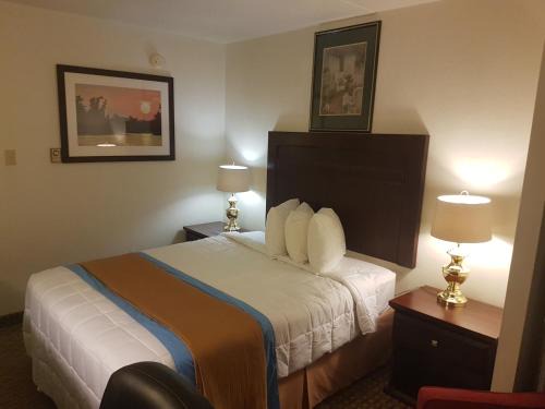 Red Deer Hotel | BA Hotel