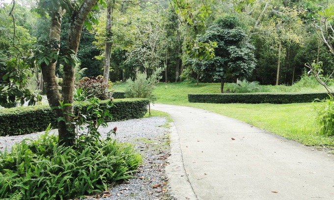Ron Phibun Hotel | Baan Suan Chong Khao Resort