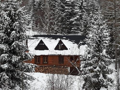Nowy Targ Villa | Bacówka w sercu gór - dom z bali w Gorcach