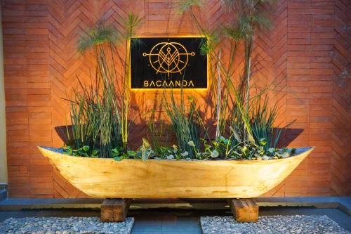 Ruta Independencia House | Bacaanda #3
