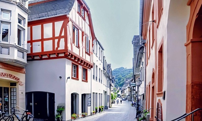 Mainz-Bingen Apartment | Bacchus Holiday Homes– Rhein & Wein| 7 Guests, Old Town, Castle & Vineyard Views