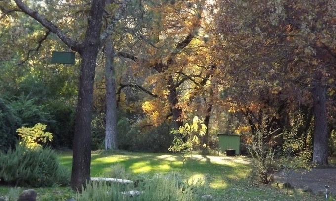 Middletown Cottage | Backyard Garden Oasis