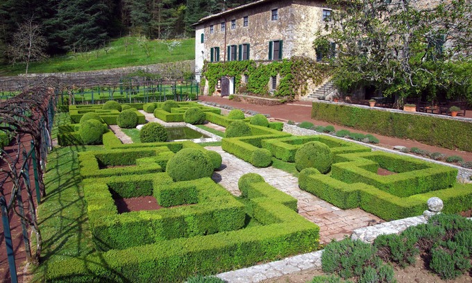 Badia Coltibuono Other | Badia a Coltibuono